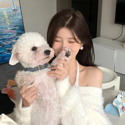 圣诞节又来了